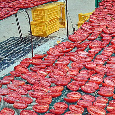 essicazione-pomodori1